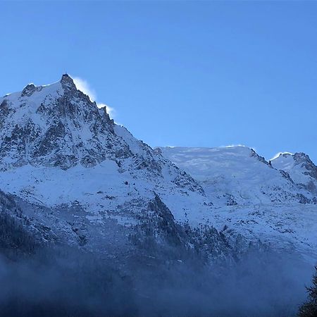 Les Alpins - Centre De Chamonix - Renove Avec Jardin Et Vue Imprenable Sur Le Montblanc Lägenhet Exteriör bild