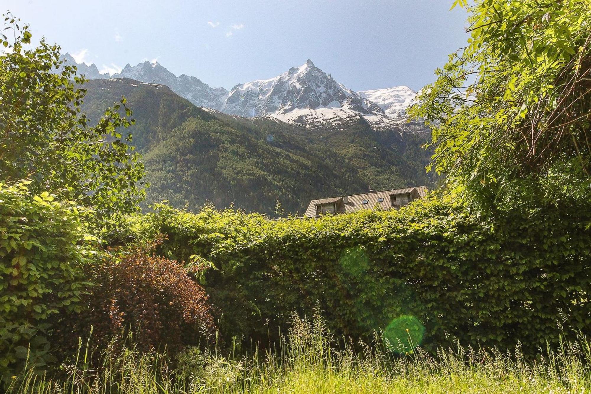 Les Alpins - Centre De Chamonix - Renove Avec Jardin Et Vue Imprenable Sur Le Montblanc Lägenhet Exteriör bild